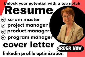 craft project manager resume writer pmp and IT expert