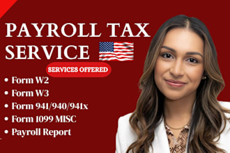 prepare, file amend w2, w3, 1099, 941, 940, payroll tax forms