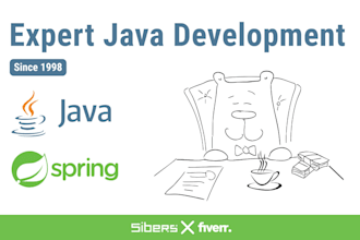 develop custom software or backend systems using java and spring