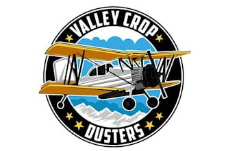 design a wonderful superb airplanes logo