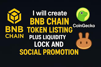 create bnb chain token listing plus liquidity lock and social promotion
