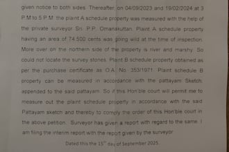 do legal drafting and translation