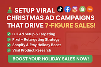 setup tiktok facebook and instagram christmas 7figure shopify and etsy campaigns