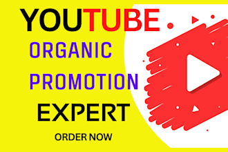 organic youtube video promotion to grow viewers and monetize