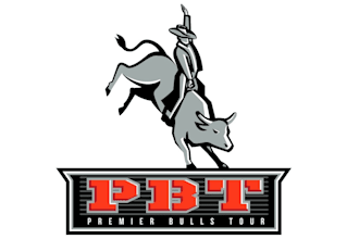 do excellent or business rodeo logo design and branding kit
