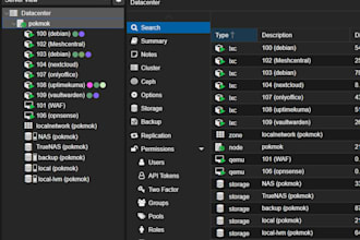 setup the proxmox for you on dedicated server