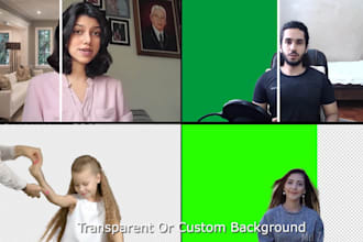 vfx, rotoscoping, green screen removal, or cleanup