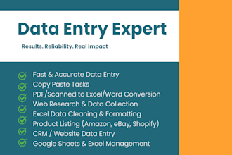 do fast and accurate data entry, web research and excel data typing