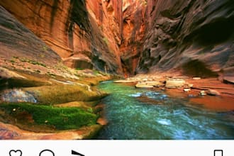build mobile applications in flutter