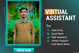 do accurate data entry and excel organization fast and virtual assistant tasks