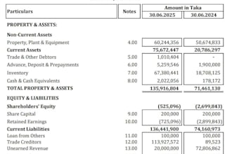 create professional financial statements and excel accounting reports