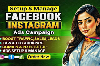 run profitable meta ads campaigns for ecommerce or local business