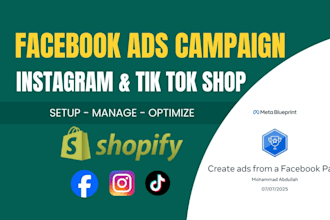 set up facebook ads campaign, instagram and tiktok shop for business sales