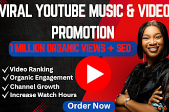 do organic promotion for youtube music video and do viral video SEO, yt growth