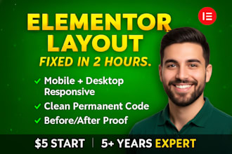 fix elementor layout CSS issues responsive error