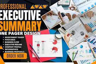 write a professional executive summary for business plans, proposals and reports