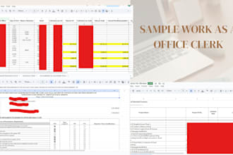 accurate data entry, file organization, and excel tasks