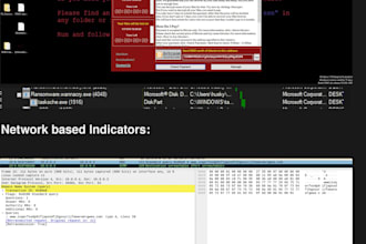 do malware analysis and reverse engineering with reporting