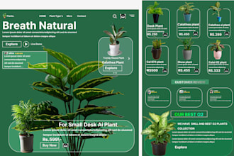 design best website for you