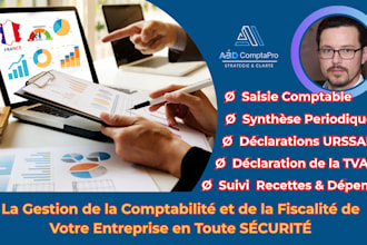 take care of tax and accounting and financial entry data of your french company