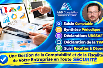 take care of tax and accounting and financial entry data of your french company