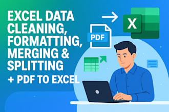 clean, format, merge, duplicate remover, split excel data