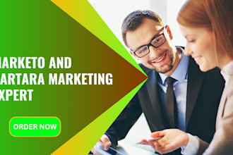 build carrd websites and set up interspire, marketo, or katara marketing