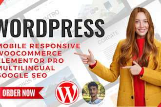 design a responsive SEO friendly wordpress website