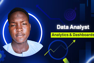 be your professional data analyst for power bi and excel