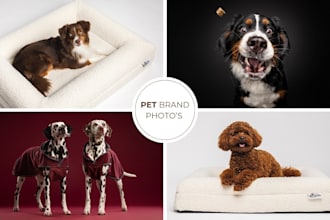 create professional pet product studio photography for dogs