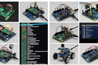 develop raspberry pi hat and gpio programming projects with micropython