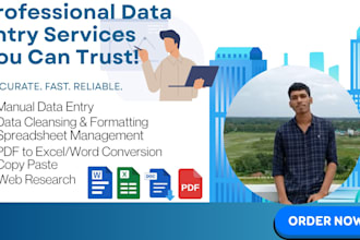 do accurate data entry, copy paste and web research service