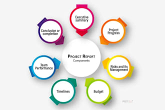 create pmp level project management status reports and risk report in 24 hours