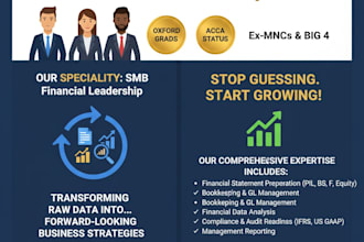 prepare professional financial statements and accounting reports