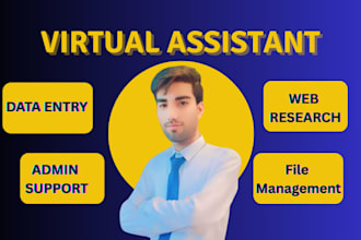 do e commerce data entry and CRM admin support as virtual assistant