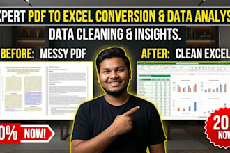 do expert PDF to excel conversion, data cleaning, and complex data analysis