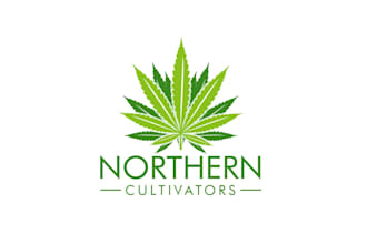 design a professional natural logo for your business