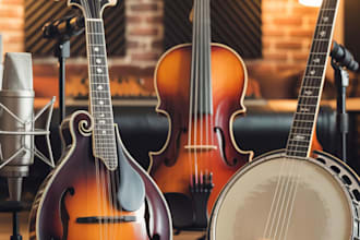 record HQ mandolin violin banjo for your song
