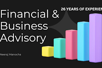 provide financial advise for your company
