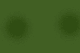 cook amala and egusi with ddelicious meat