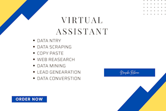 do fast and accurate data entry, excel,  web research