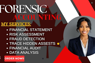 perform forensic accounting, fraud investigation and financial audit reports