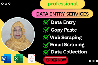 do fastest data entry, copy paste and excel data entry specialist