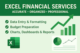 organize and analyze your financial data in excel