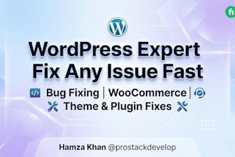 fix wordpress issues, update plugins and themes, and customize your website