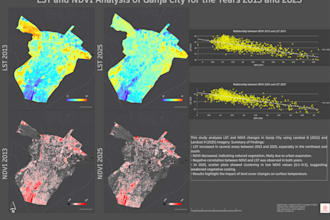 create professional gis maps and spatial visualizations, imagery analysis