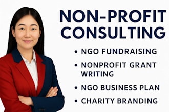 do non profit consulting, grant writing, fundraising strategy for ngo, charity