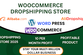 build woocommerce dropshipping website alidropship aliexpress dropshipping store