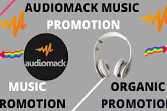do organic audiomack music promotion through ads campaign