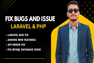 fix bugs and errors in your laravel, PHP or mysql project